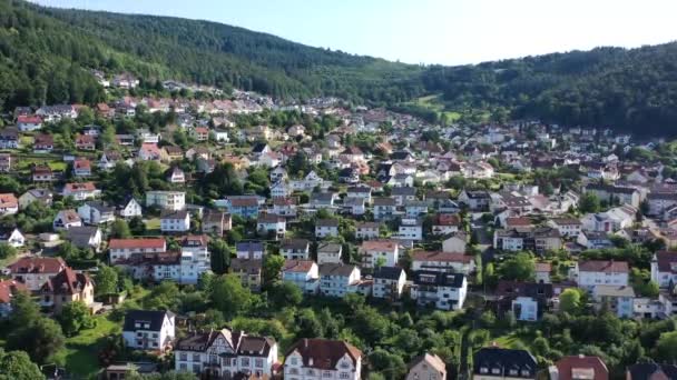 Eberbach Neckar Dall Alto — Video Stock