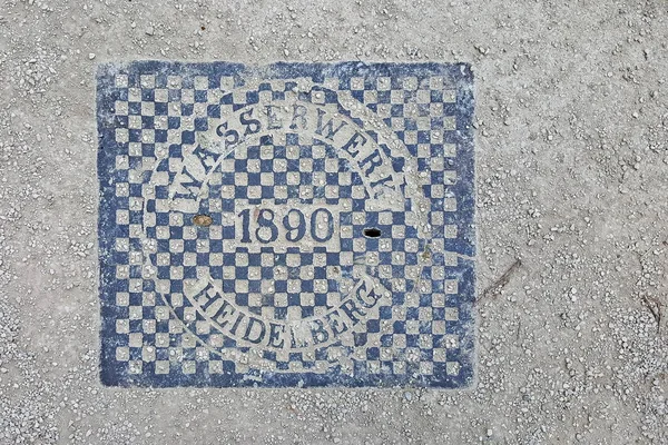 Heidelberg, Almanya'da Neckar'da yer alan bir şehirdir. — Stok fotoğraf