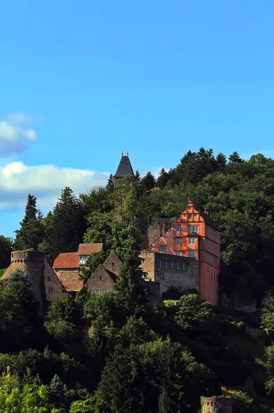 The Hirschhorn Castle on the Neckar — Stock Photo, Image