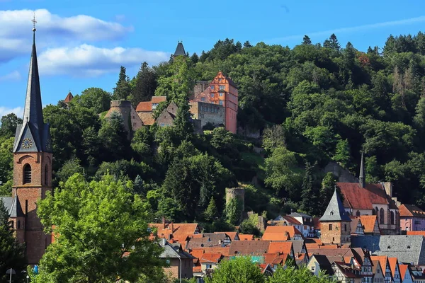 Die Hirschhornburg am Neckar — Stockfoto