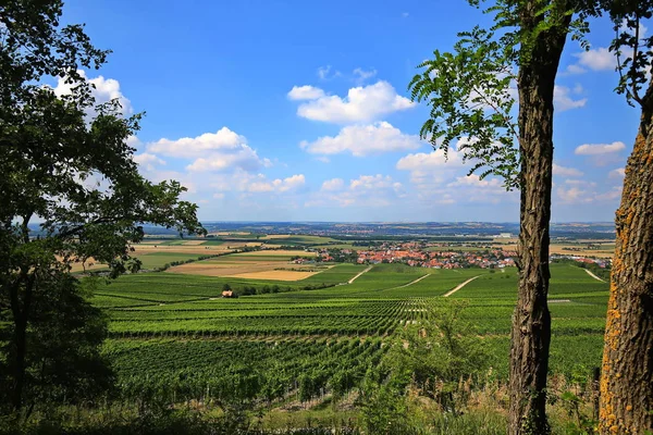 Landschap bij Iphofen in Beieren — Stockfoto