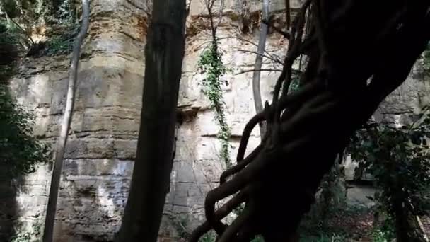 Hessigheim Rock Kertek Kedvelt Úti Cél Hegymászók Túrázók Számára — Stock videók
