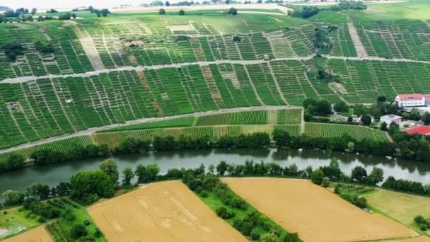 Mundelsheim Neckar Una Regione Vinicola Vicino Stoccarda — Video Stock