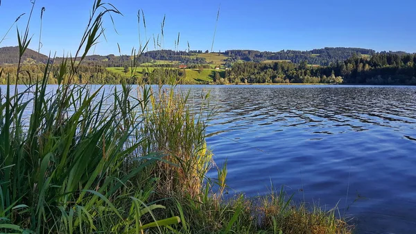 Rottachsee Près Sulzberg Est Réservoir — Photo