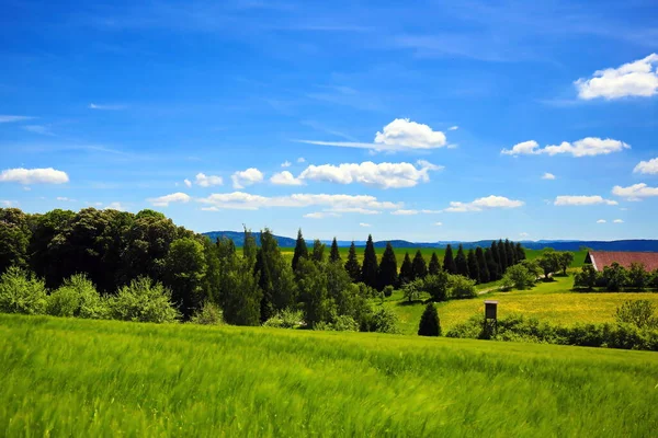 Landskap Miljön Sulz Neckar — Stockfoto