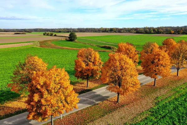 All Autumn — Stock Photo, Image