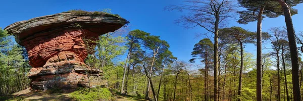 Table Diable Dresse Sur Une Colline Milieu Forêt — Photo