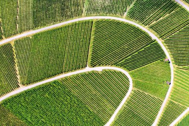 # Yolları ve yolları olan bağlar #