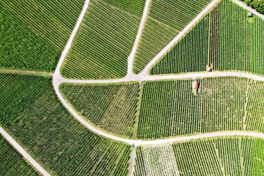 # Yolları ve yolları olan bağlar #