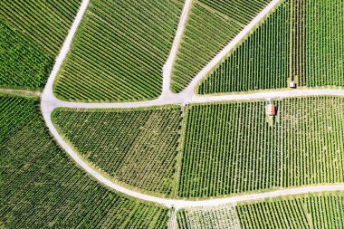 # Yolları ve yolları olan bağlar #