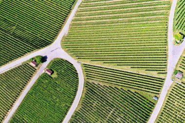 # Yolları ve yolları olan bağlar #