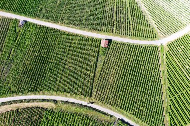 # Yolları ve yolları olan bağlar #