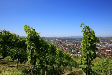 Heilbronn von Oben, Heilbronn şehrinin bir görüntüsüdür.