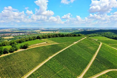 Scheuerberg, Heilbronn şehrinin bir görüntüsü.