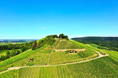 Scheuerberg, Heilbronn şehrinin bir görüntüsü.