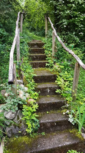 Escaleras Sendero Través Del Bosque —  Fotos de Stock