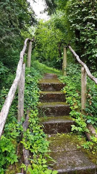 Escaleras Sendero Través Del Bosque —  Fotos de Stock