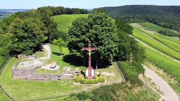 Scheuerberg Uma Região Vitícola Perto Heilbronn — Vídeo de Stock