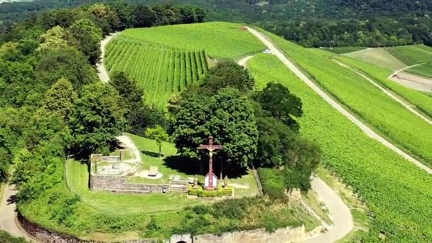 Scheuerberg Heilbronn Yakınlarında Şarap Yetiştiren Bir Bölge — Stok video
