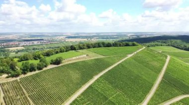 Scheuerberg, Heilbronn yakınlarında şarap yetiştiren bir bölge.