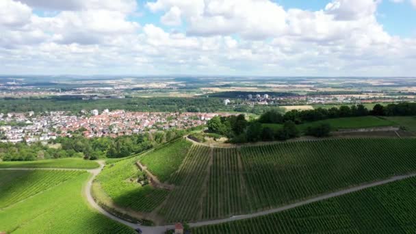 Scheuerberg Uma Região Vitícola Perto Heilbronn — Vídeo de Stock