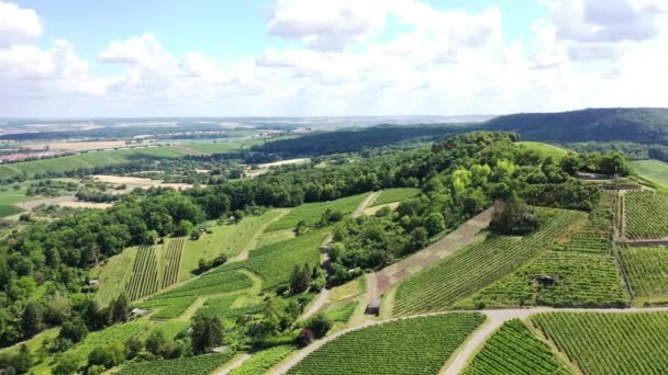 Scheuerberg Uma Região Vitícola Perto Heilbronn — Vídeo de Stock