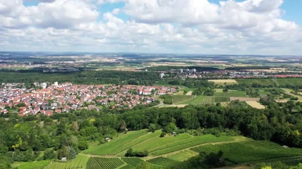 Scheuerberg Jest Region Uprawy Winorośli Pobliżu Heilbronn — Wideo stockowe