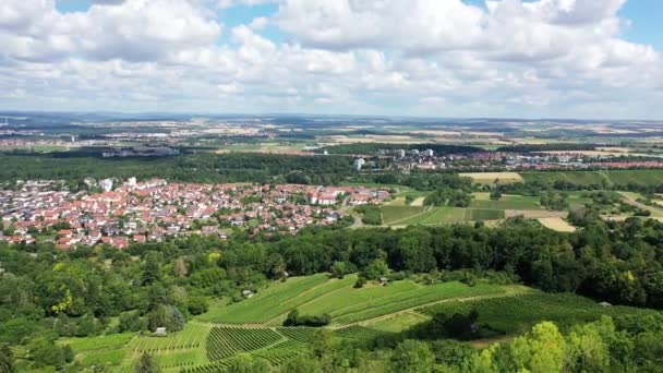 Scheuerberg Είναι Μια Αμπελουργική Περιοχή Κοντά Heilbronn — Αρχείο Βίντεο