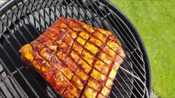 Carne Asada Parrilla — Vídeos de Stock