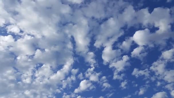Animatie Boven Blauwe Lucht Met Wolken — Stockvideo