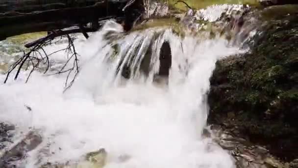 Вир Біля Водоспадів Альгу — стокове відео