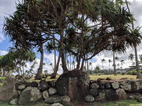 Hikinaakala Heiau 只有这座寺庙的根基 被认为是怀卢阿早期神圣的遗址之一 夏威夷考艾岛上 — 图库照片