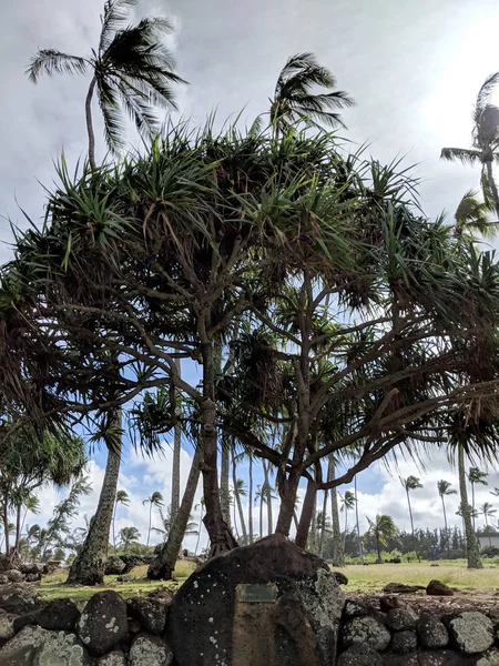 Hikinaakala Heiau Sadece Vakıf Wailua Erken Kutsal Sitelerin Biri Olduğuna — Stok fotoğraf