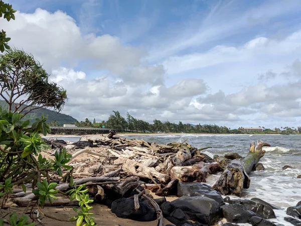 Vlny Podél Skalnatého Pobřeží Drift Dřeva Naupaka Rostlin Břehu Lydgate — Stock fotografie
