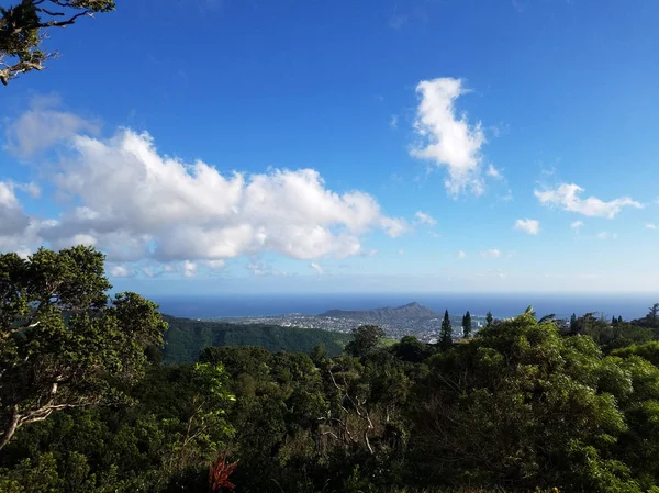 檀香山的城市景观从钻石头到马诺与 Kaimuki 卡哈拉 Oceanscape 可见的瓦胡岛上的一个美好的一天 从高的山区与高大的树木在前景 — 图库照片
