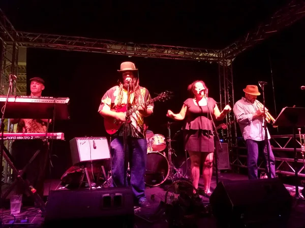 Honolulu November 2016 Band Gesang Und Marmelade Auf Der Bühne — Stockfoto