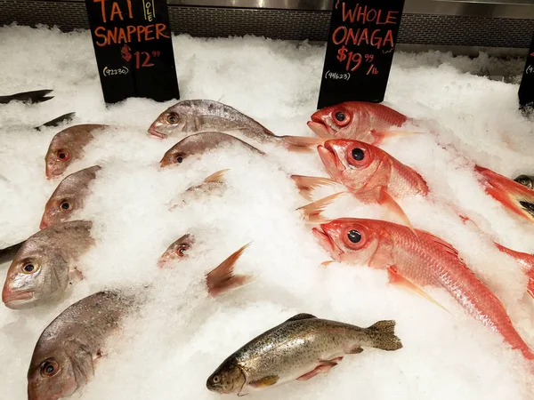 Honolulu Setembro 2016 Snapper Congelado Onaga Fish Exposição Loja — Fotografia de Stock