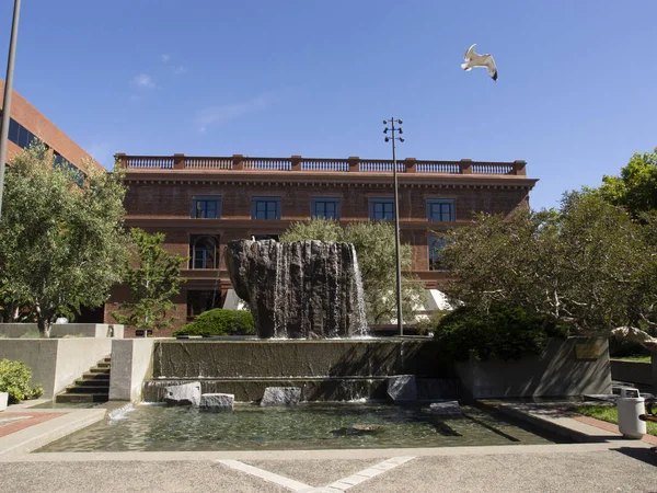 Möwe Fliegt Über Brunnen Auf Dem Levi Plaza San Francisco — Stockfoto