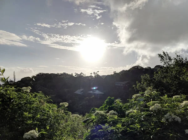 Sonnenuntergang Vorbei Durch Wolken Mit Tropischer Silhouette Von Bäumen Die — Stockfoto