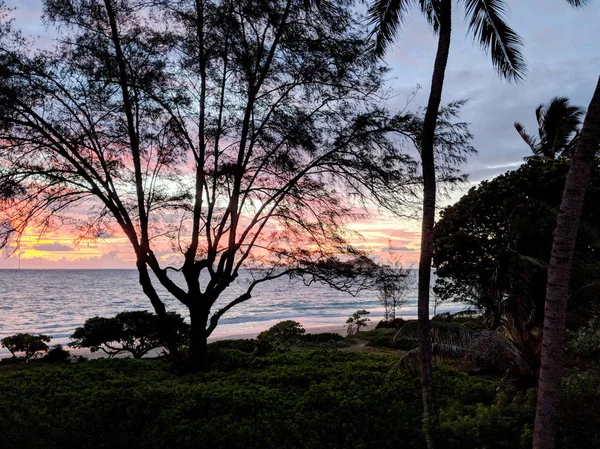 在怀马纳洛海滩上的温和波浪圈 在黎明时分 带着红色的天空 夏威夷瓦胡岛 通过树木 望着兔子岛 — 图库照片