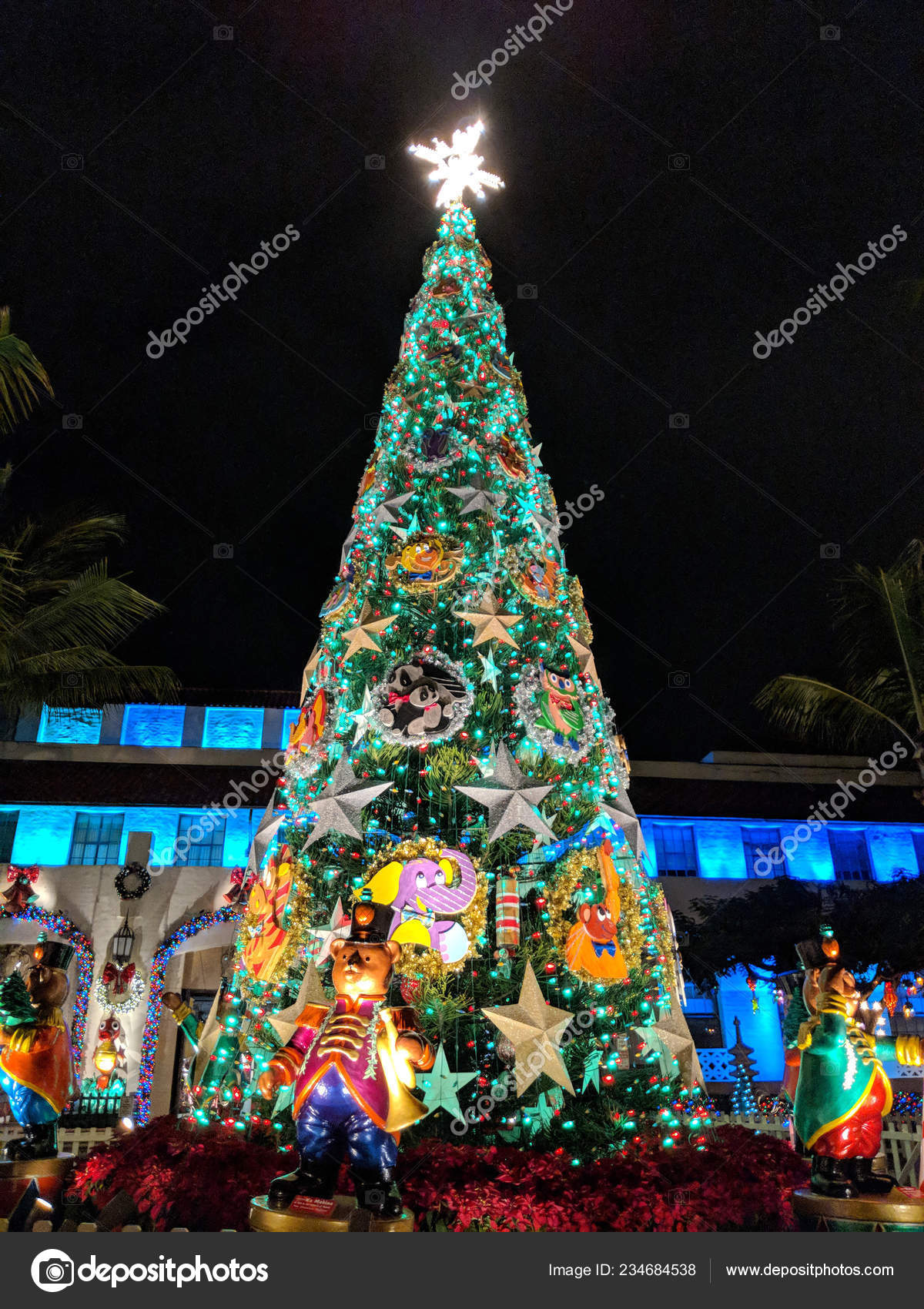 Honolulu Hawaii December 2017 Light Night Foot Norfolk Pine Christmas