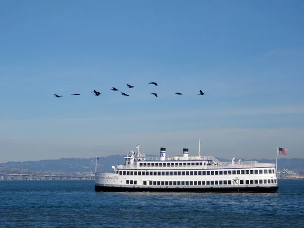 San Francsico December 2009 Hornblower Båt Resor San Francisco Bay — Stockfoto