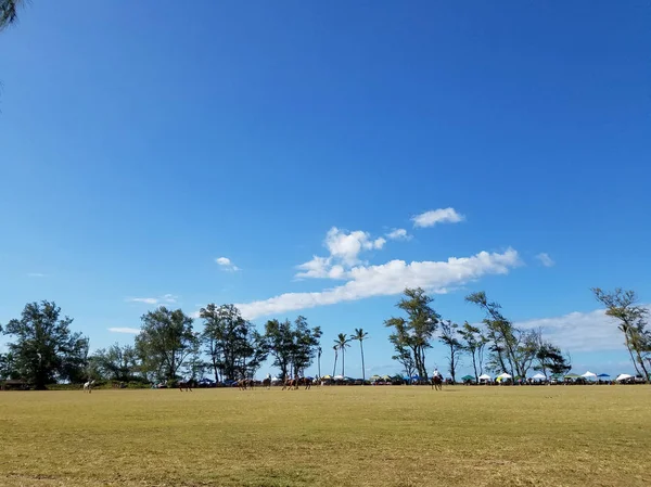 Oahu Hawaii Mayo 2017 Juego Polo Acción Establecido 1963 Mundialmente —  Fotos de Stock