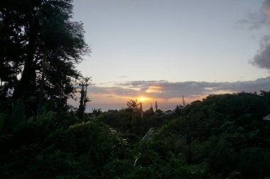 Günbatımı önünden Oahu, Hawaii bulutların arasından ağaçlar tropikal silueti.