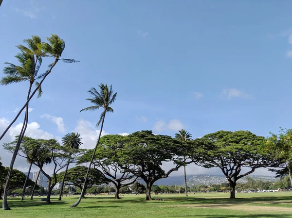 Árboles Del Parque Kapiolani Durante Día Con Honolulu Nubes Distancia —  Fotos de Stock