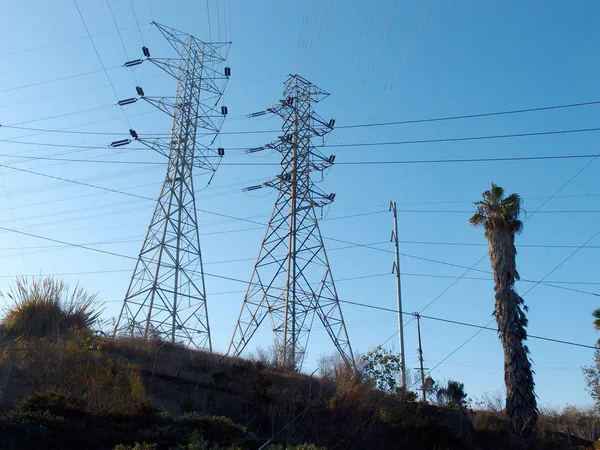 高圧電力線は カリフォルニア州ロサンゼルスの青い空に対してヤシの木を持つ2つの大きな金属電柱で交差します — ストック写真