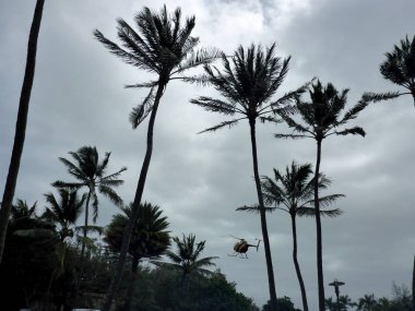 North Shore, Oahu, Hawaii - 1 Mart 2018: Magnum P.I.s helikopter tam bir kopyası Hindistan cevizi ağaçları arasında cennet helikopterlerden uçar.