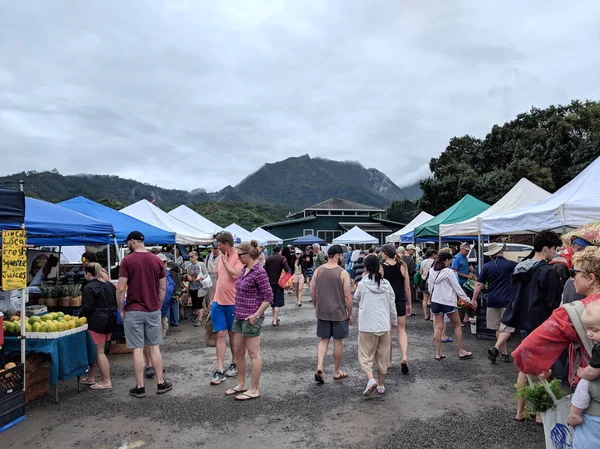 可爱岛 2018年4月6日 哈纳雷农贸市场 市场被可爱岛雄伟的山峰所包围 — 图库照片