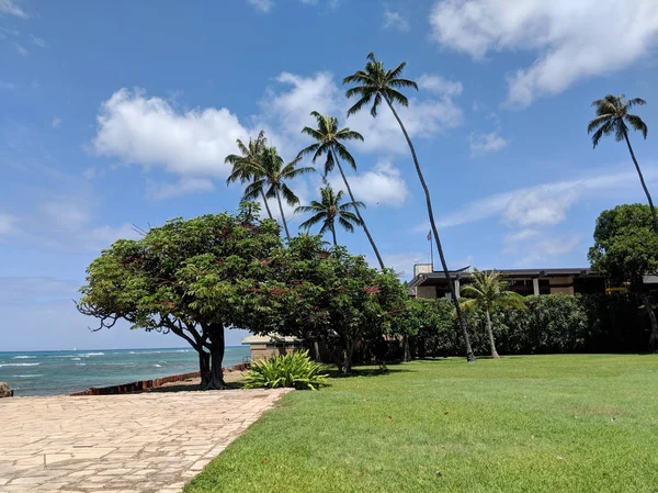 Grass field, Coconut, and other trees in park with shore wall ne — Stock Photo, Image