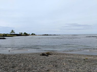 Aiopio balık tuzağı plajda Turtles dinlenme